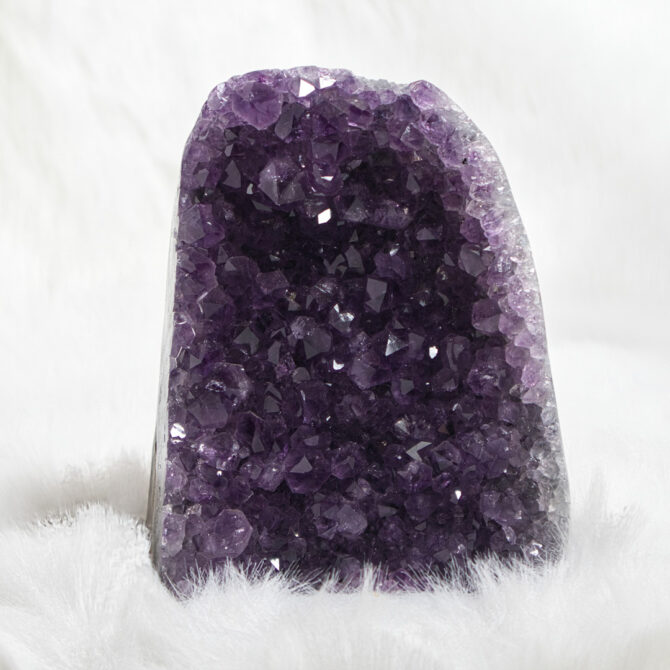 Amethyst Standing Cluster - 1.50 Kg