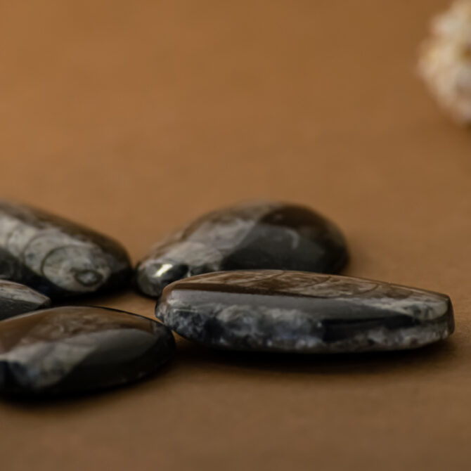 Orthoceras / Kuber Polished Pendant stone - for Financial stability