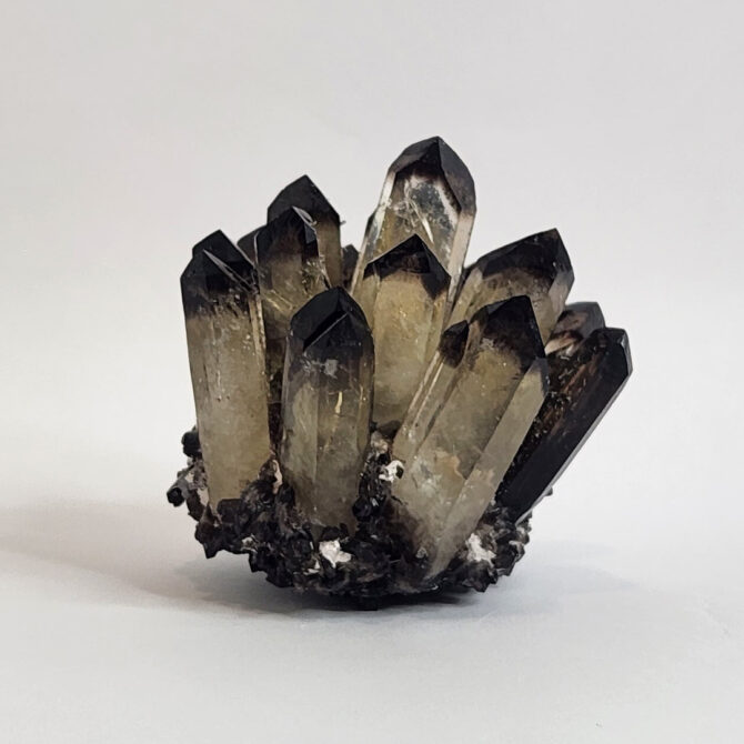 Smoky Quartz Family Cluster (347gms)